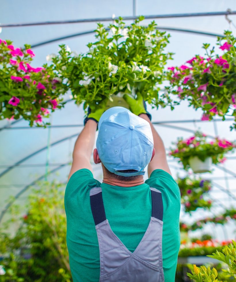 gardener-and-his-flowers.jpg